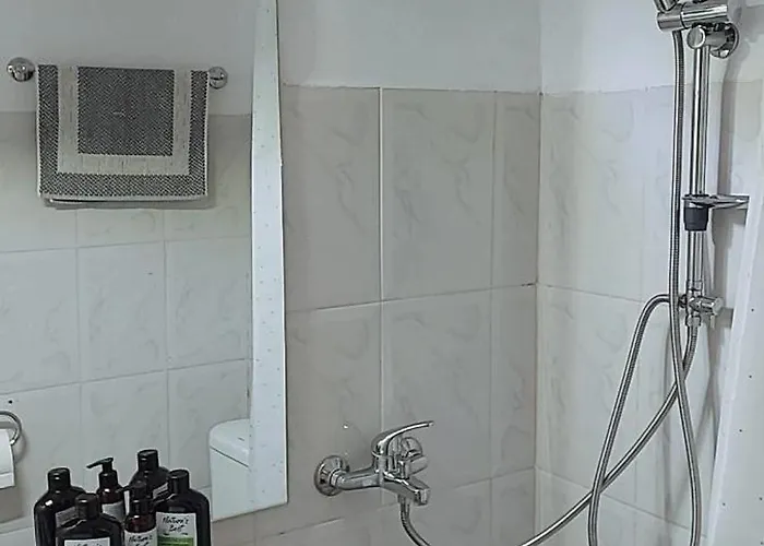 Appartement το σπίτι της μέλισσας 1 Tirós